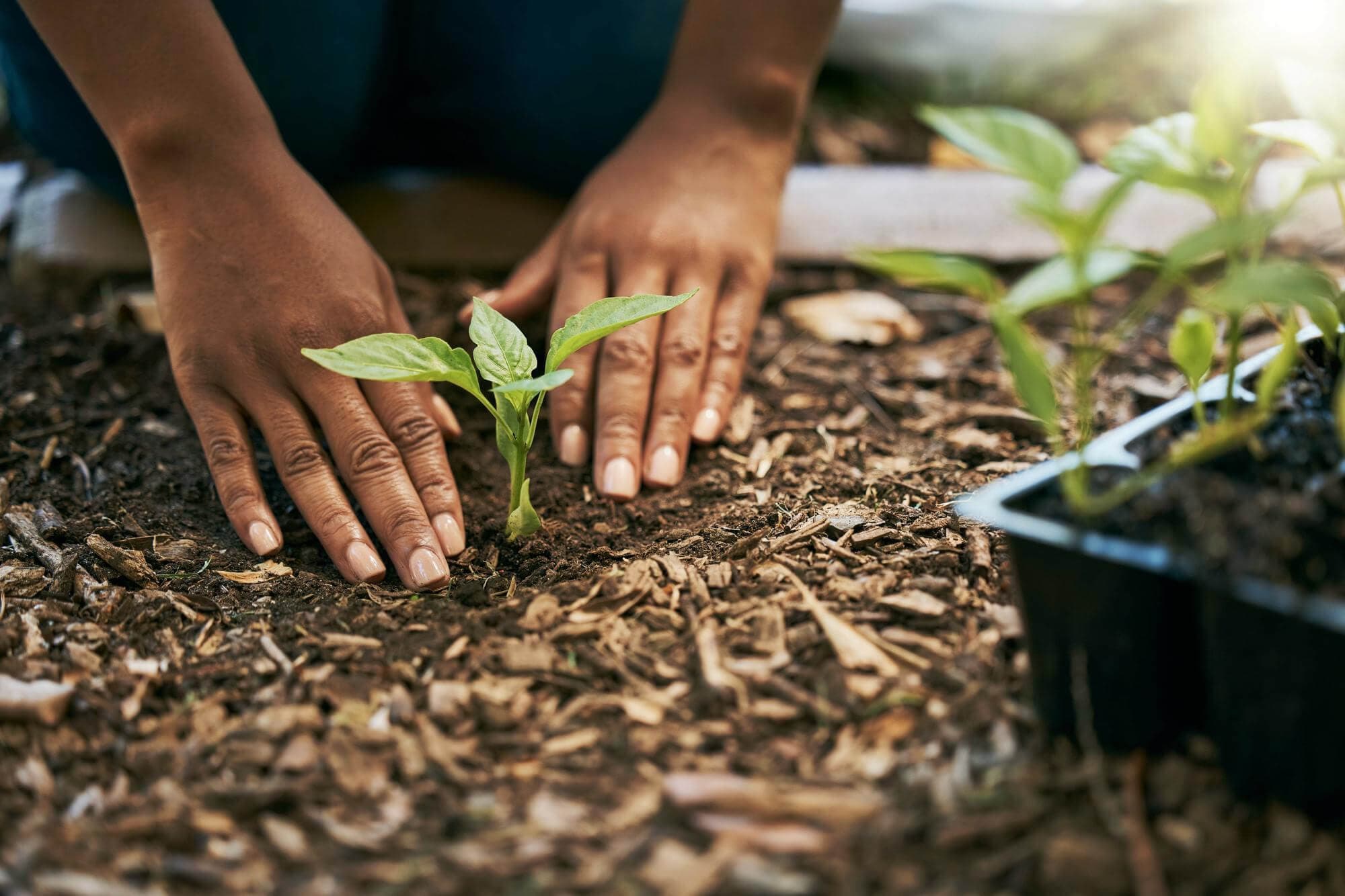 Environmental & Climate Solutions