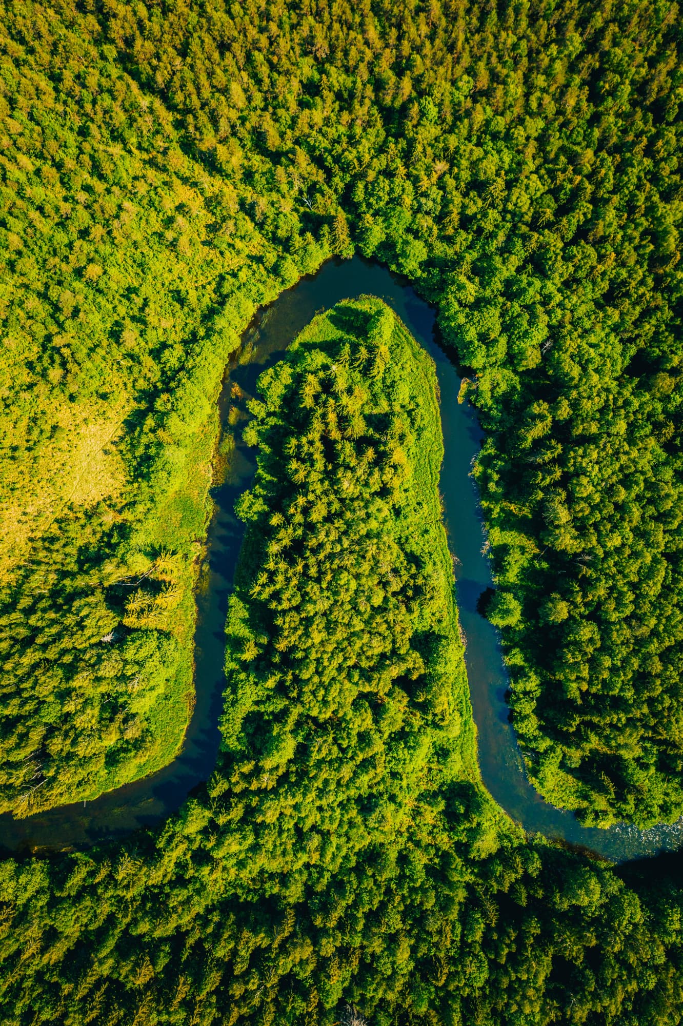 ESG Strategy & Transformation