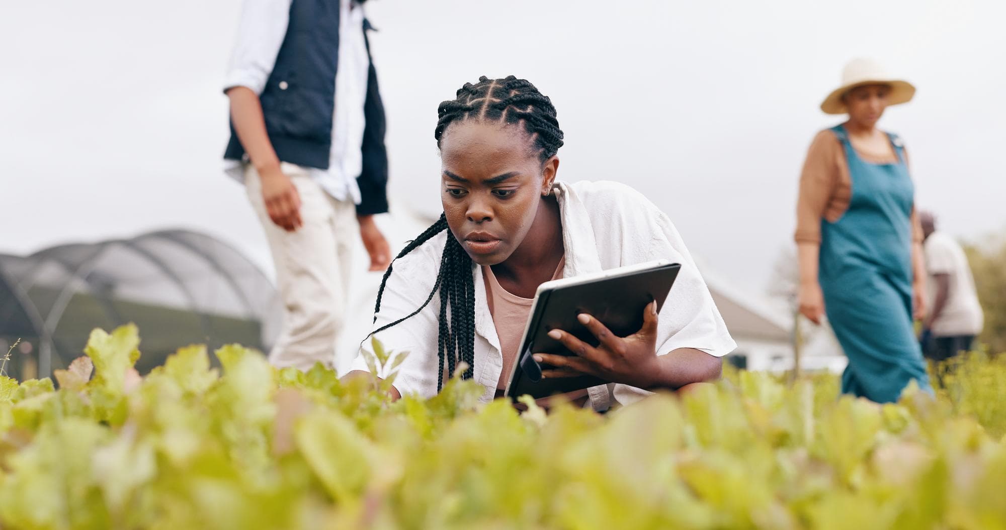 Environmental & Climate Diagnostics